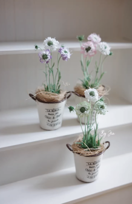 Handmade Miniature Clay Plants - Tagine Clay Pot review and price