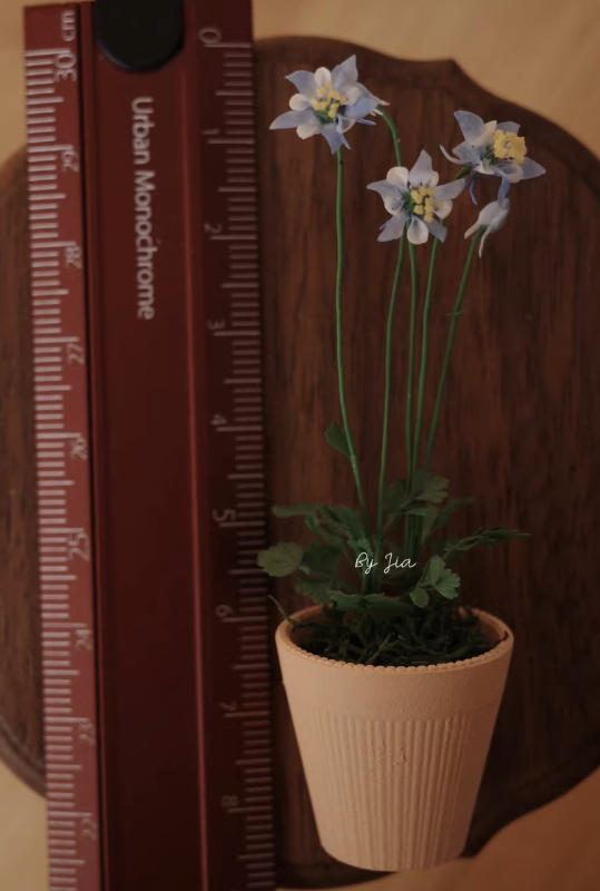 Handmade Miniature Clay Plants - Tagine Clay Pot review and price