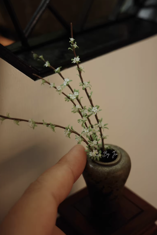 Handmade Miniature Clay Plants - Tagine Clay Pot review and price