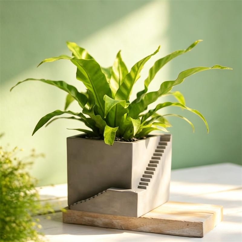 Square Stairs Shape Succulent  - Tagine Clay Pot review and price